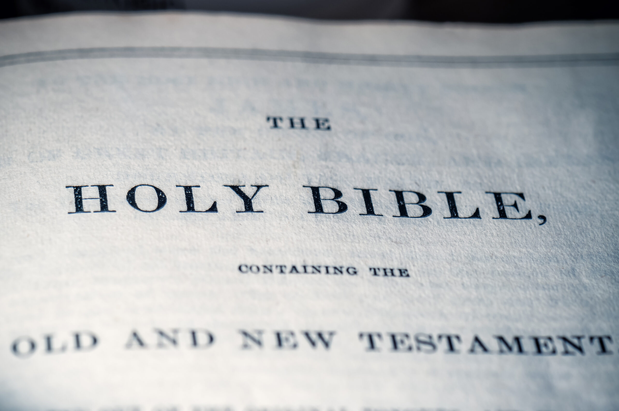 Holly Bible black text