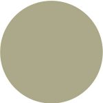 Circle1